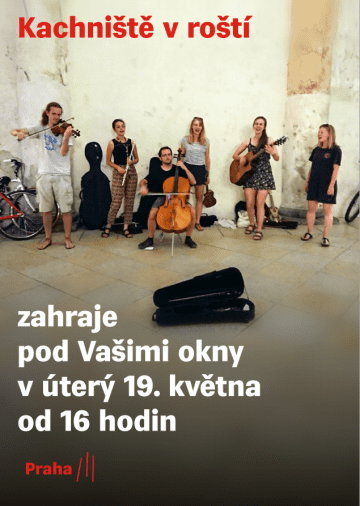 Kachniště v roští